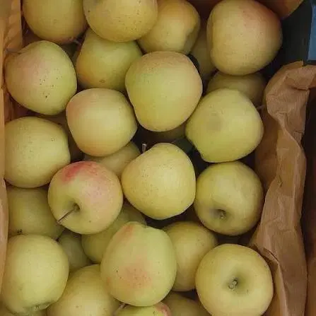 فروش باغ کهیان ثمرده