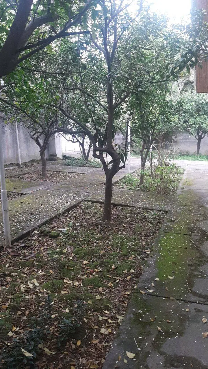 ویلا ۵۸۴ متری نوشهر _ ولیعصر انارور _ مزایده‌ای