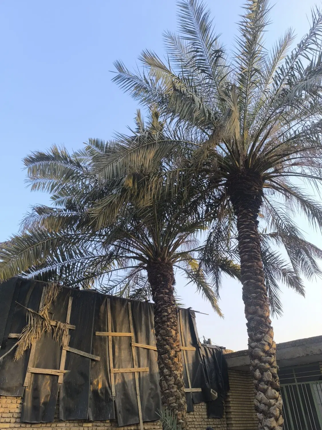 منزل مسکونی 300 متر سند ثبتی میانرود