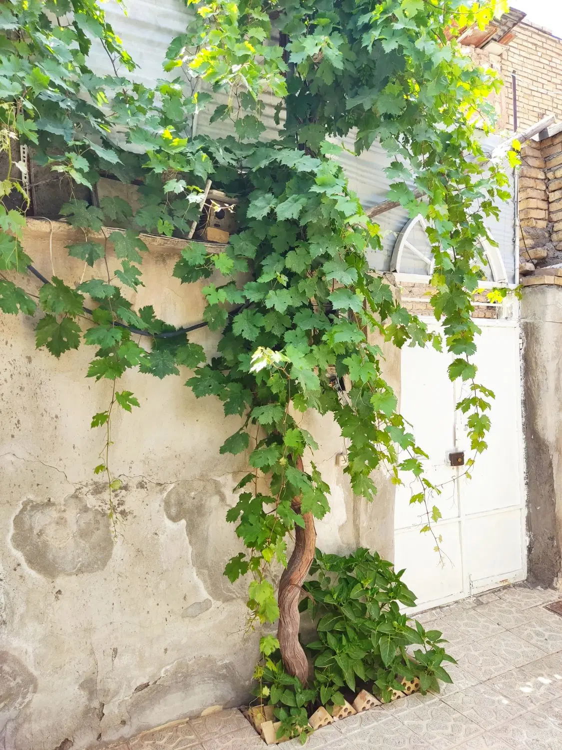 فروش خانه ویلایی دلباز