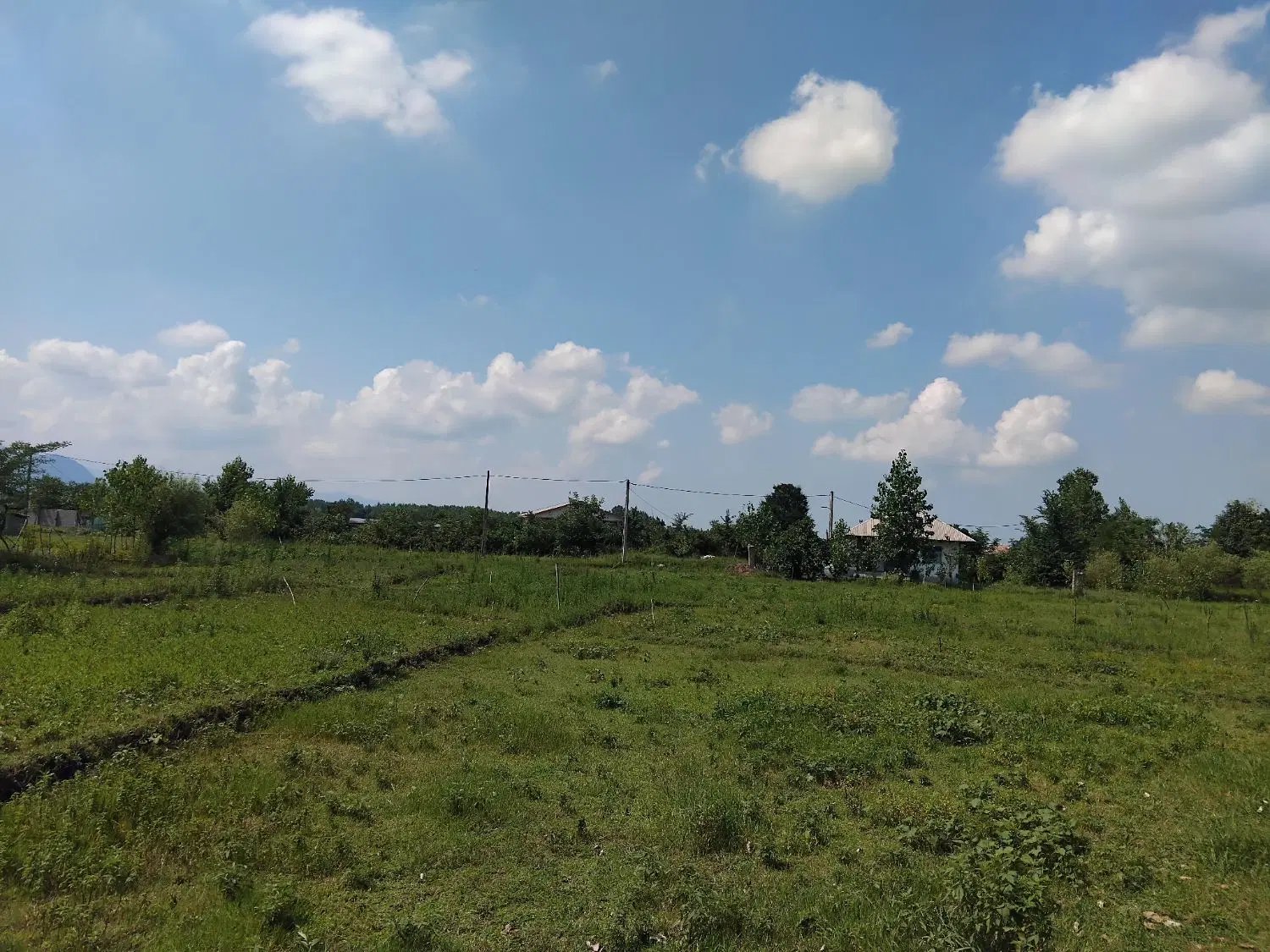 زمین برای سرمایه گذاری