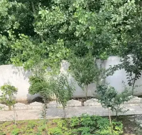 زمین 251 متری آلمان