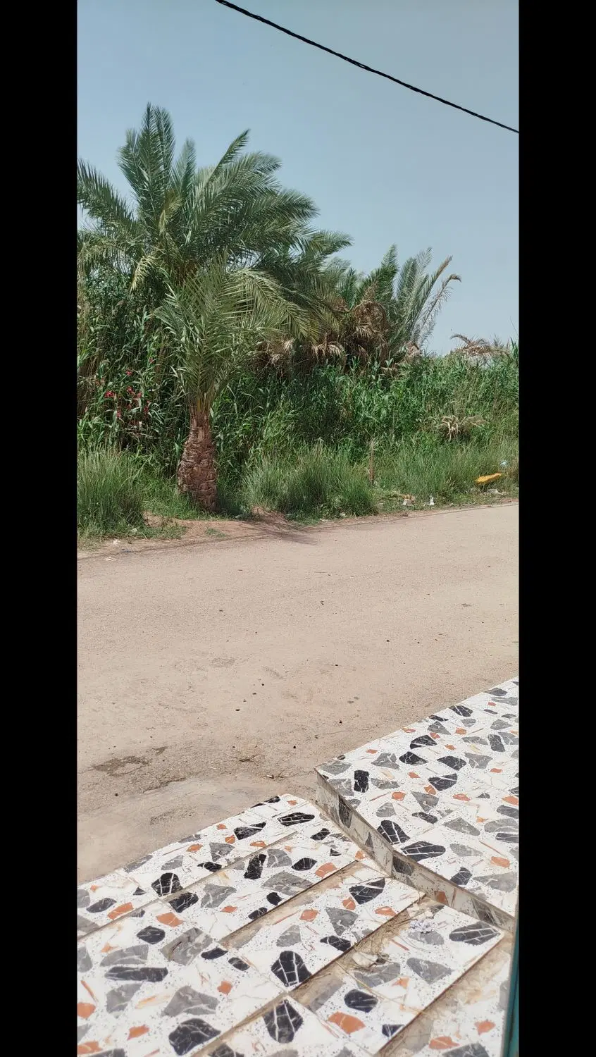 املاک