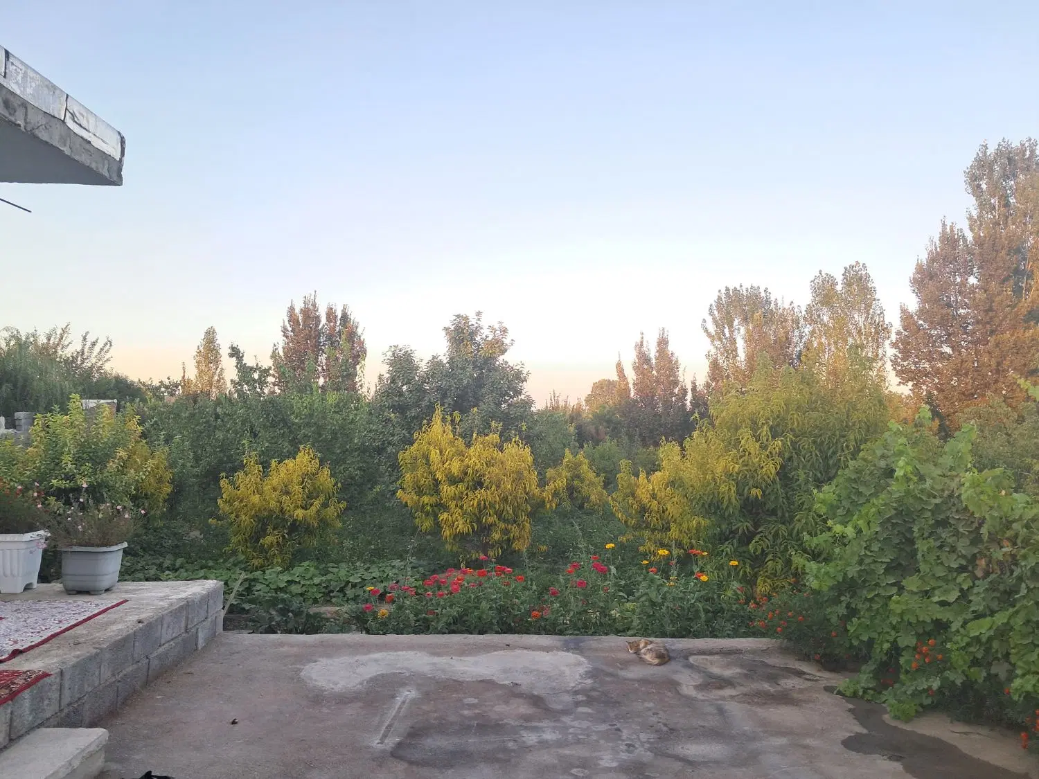 زمین.باغچه.ویلا.جاده سنتو