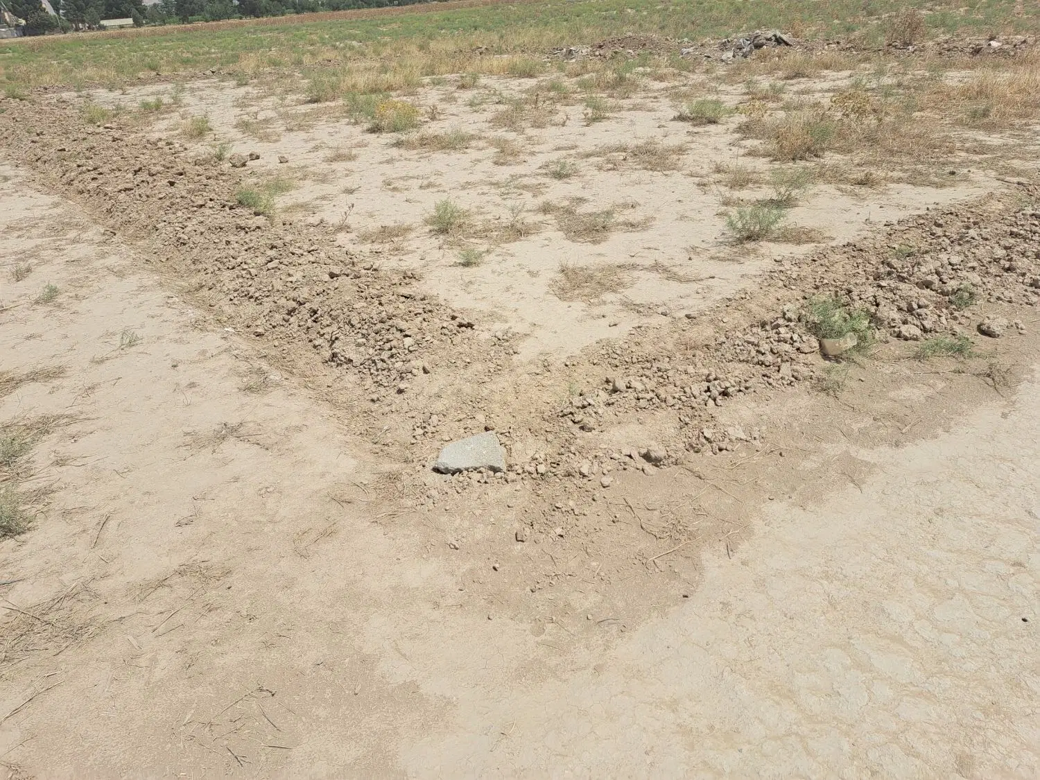 ۲۵۰ مترزمین محمدعلی پهلوان