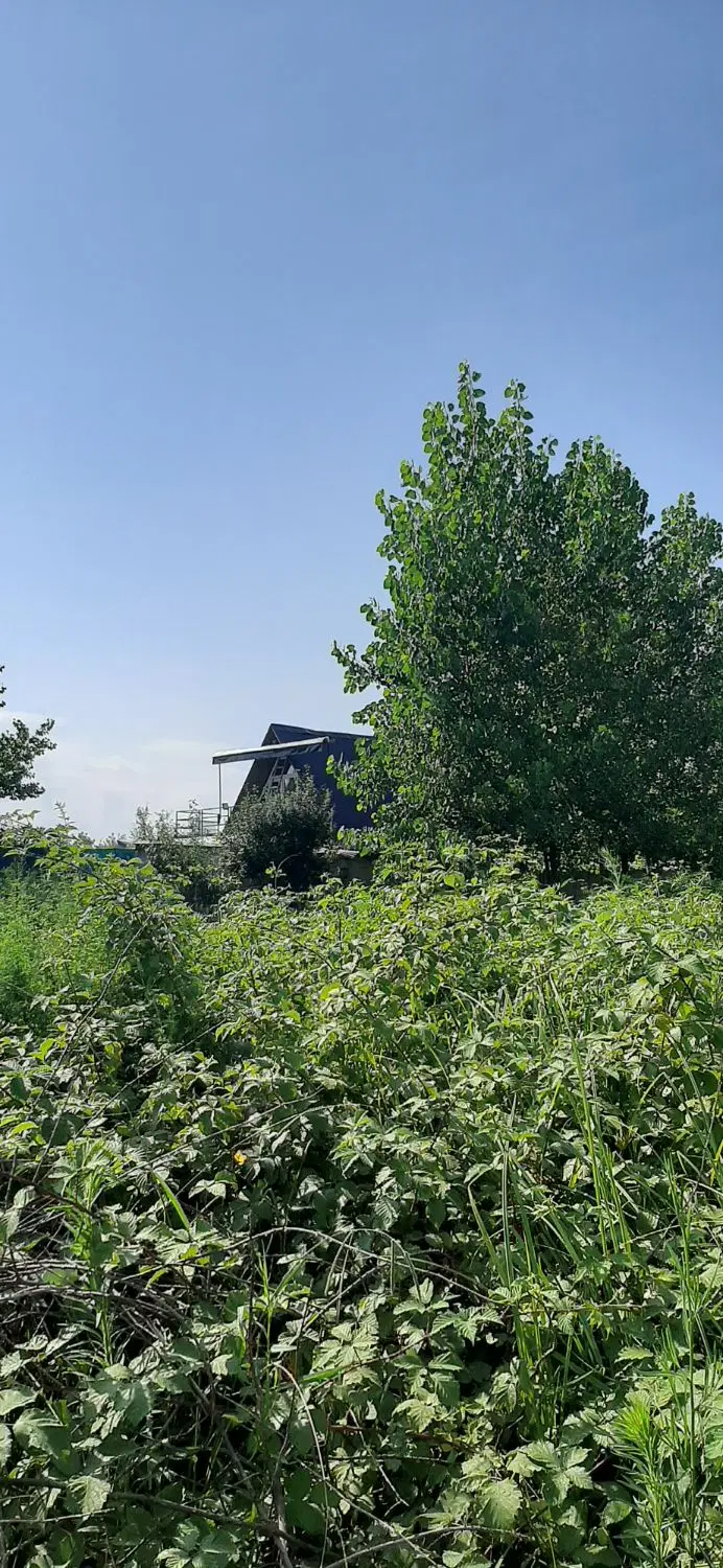 زمین مناسب ساخت برای ویلا