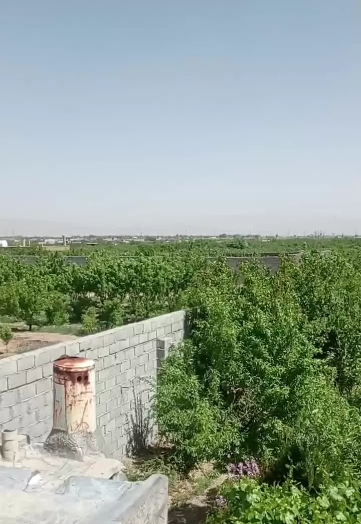 باغ انواع میوه و بادام درختان چندین ساله