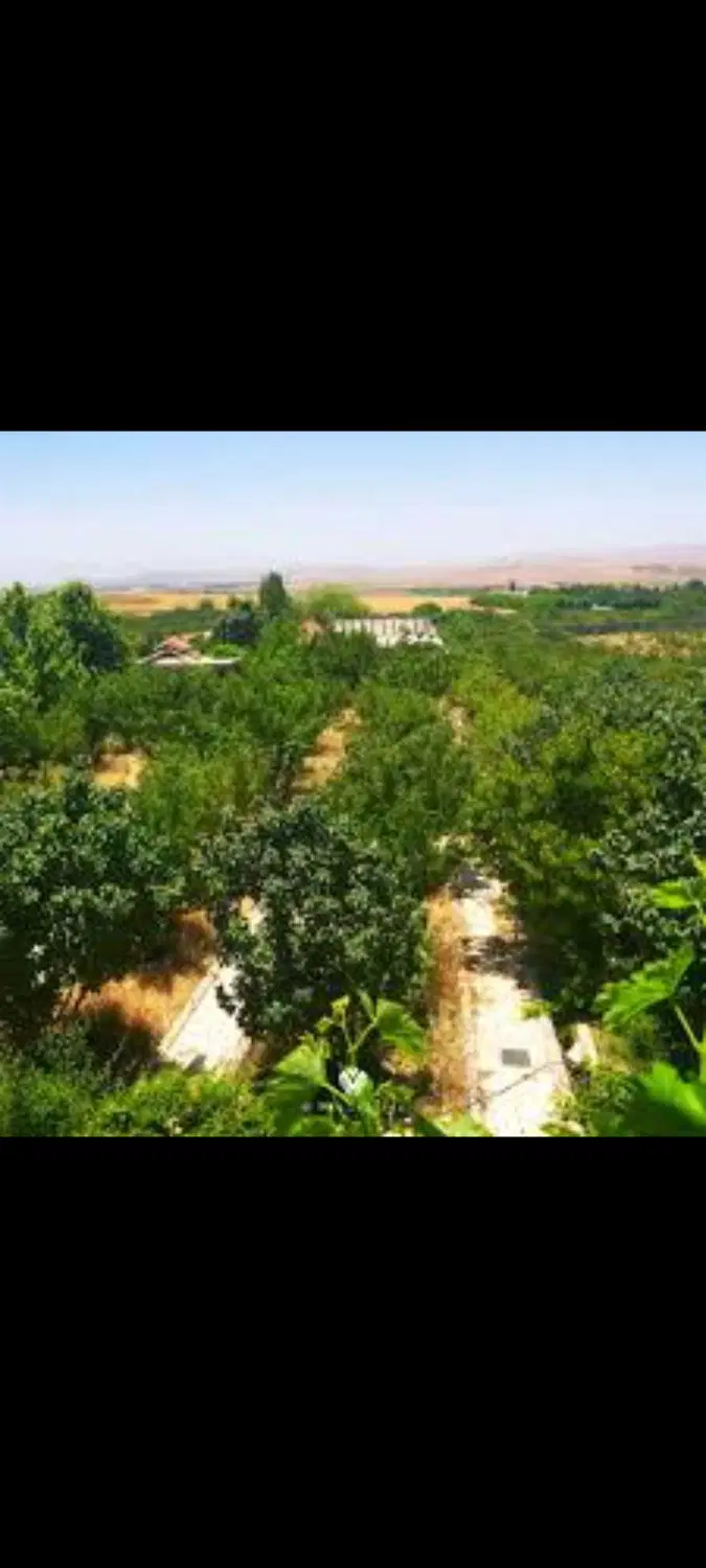 فروش زمین باغی۵۰۰متری هماشهر عباس آباد