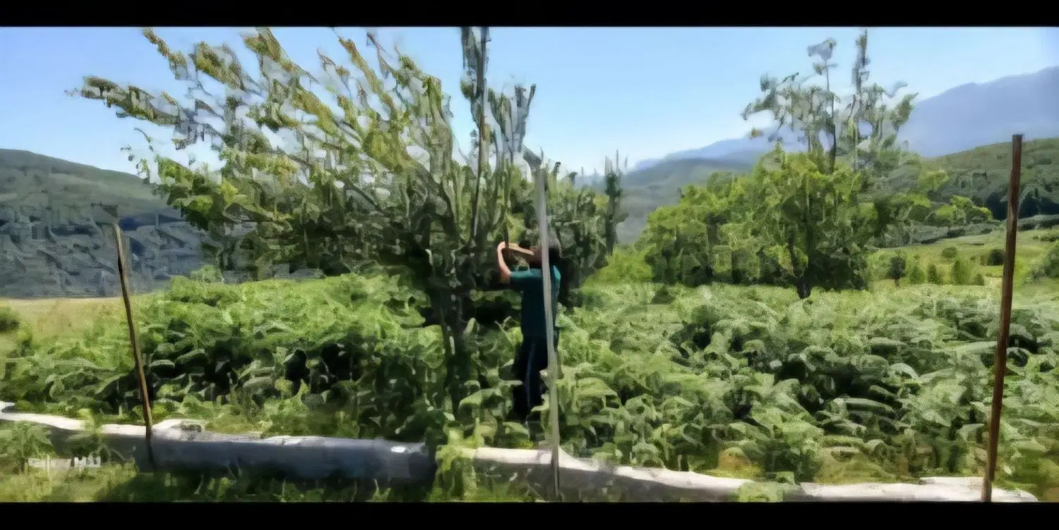 زمین ۱۸۸۰  در پل سفید