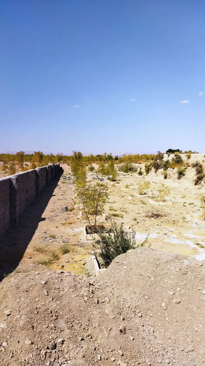 باغ معصوم آباد تقاب
