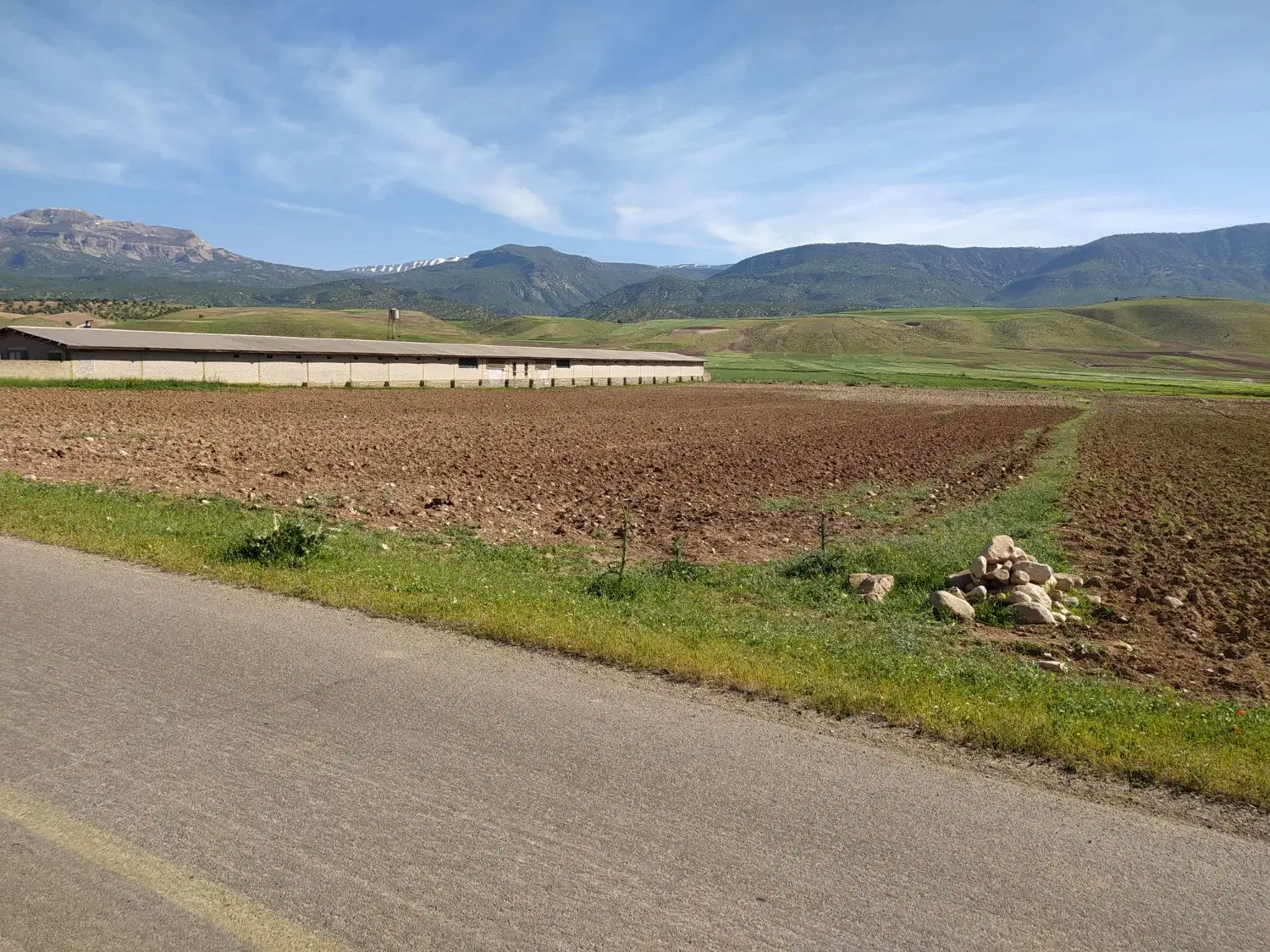 زمین کشاورزی دیم جاده کمربندی جنوب جاده پیرجد