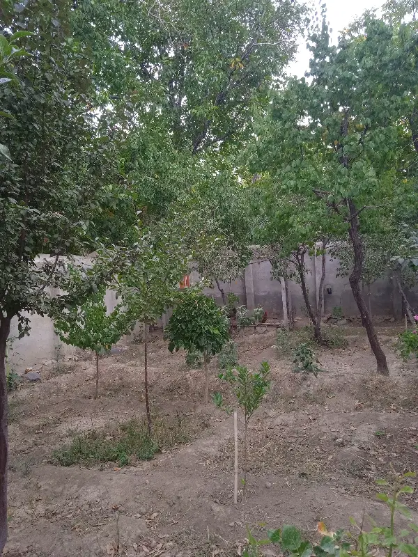 باغ ویلا تکمیل ابشینه