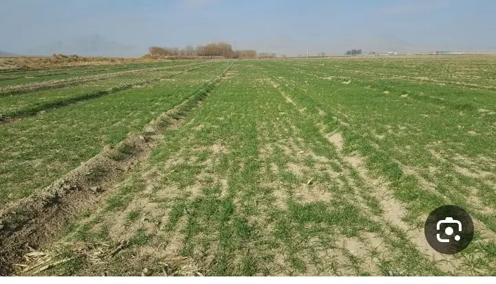 فروش زمین