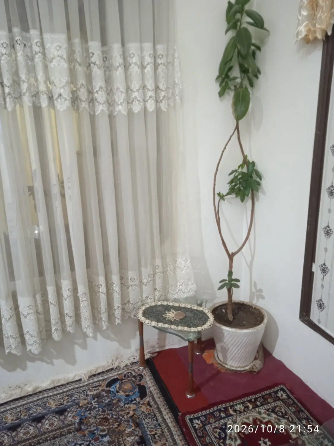 خانه ویلایی کوچه دکتر اخلاصی