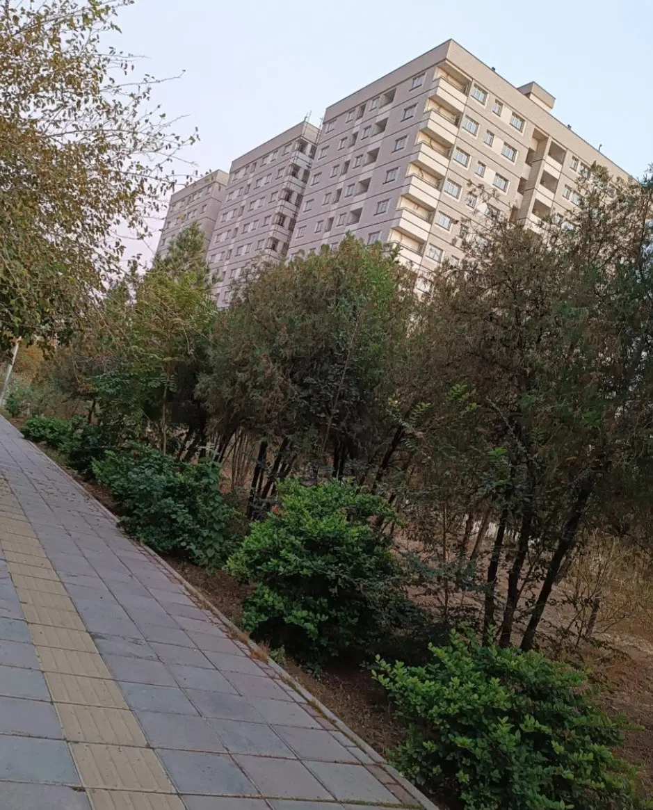 مجتمع صدرا شهرک بروجردی (فوری)