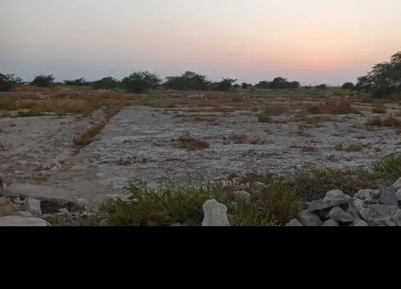 زمین روبروی پمپ بنزین چغادک به گورک