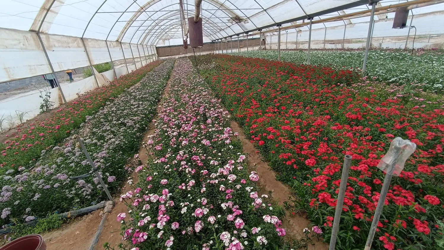 فروش زمین