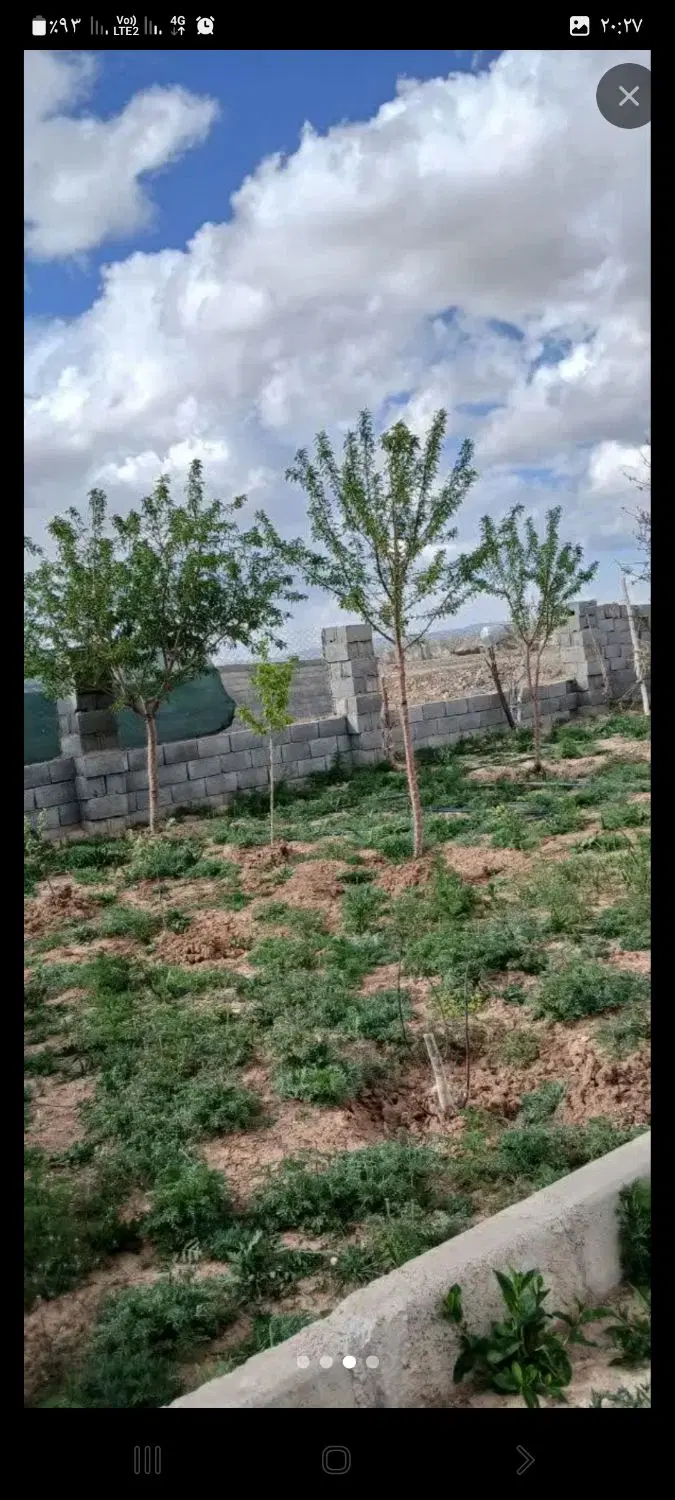 باغ نزدیک محله صادقیه