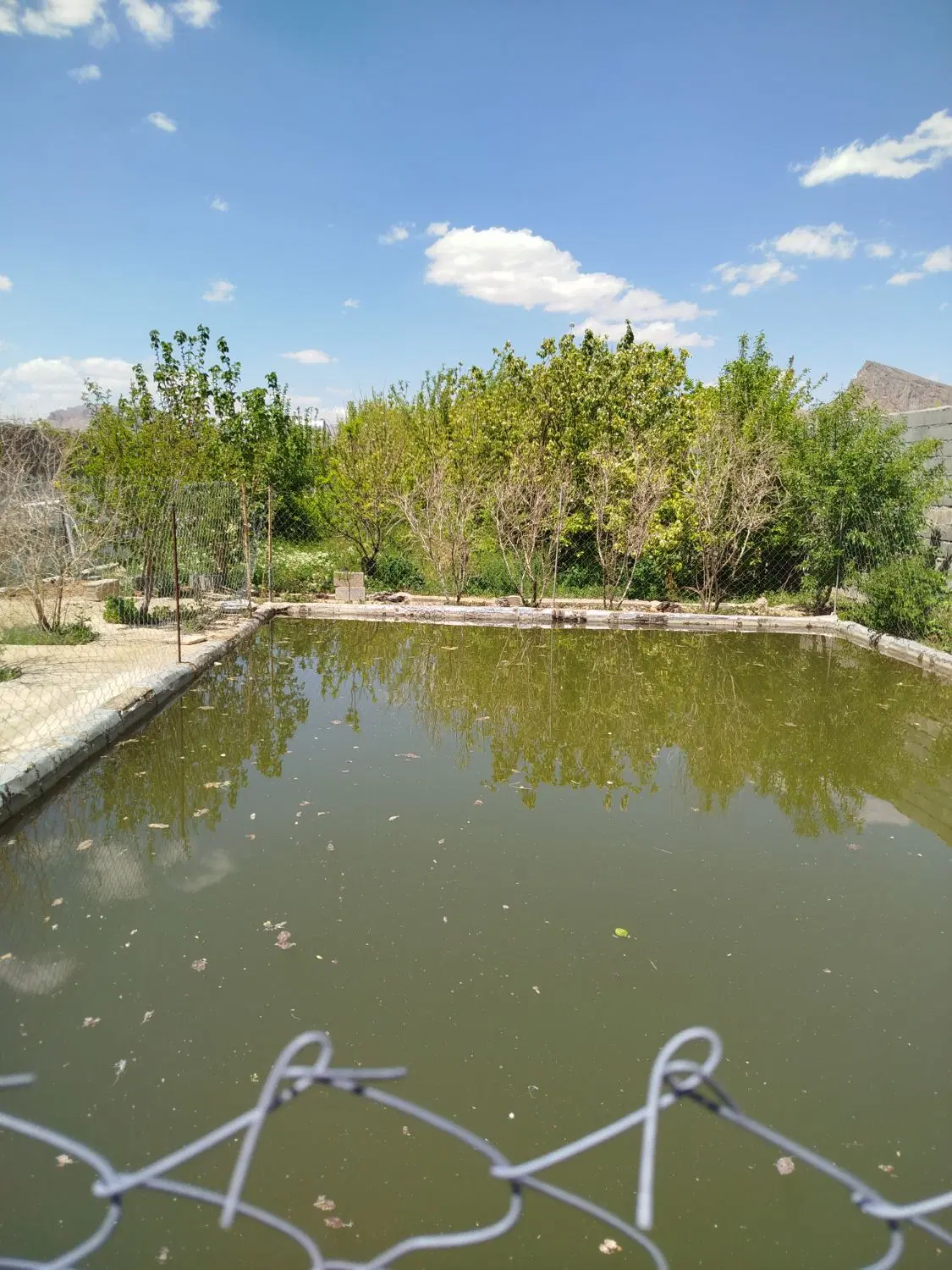 ویلای باغی