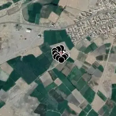 زمین زراعی