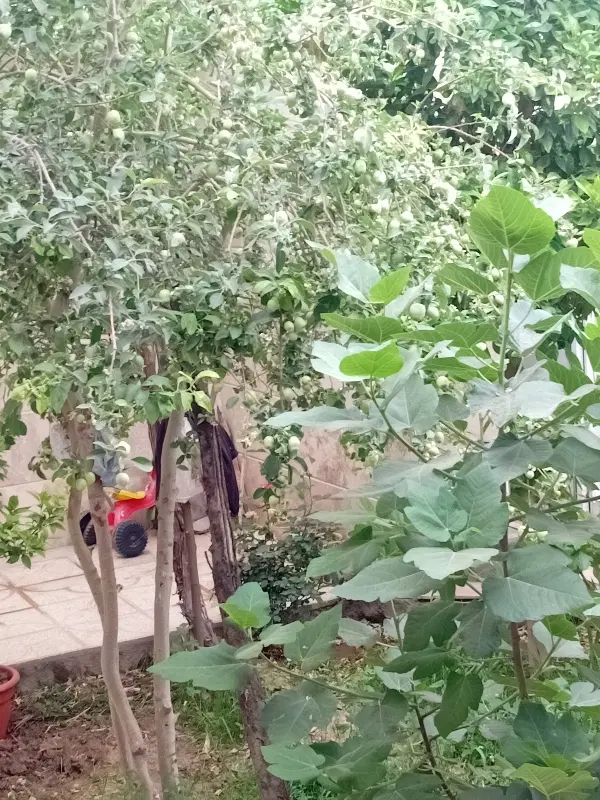 خونه خضرآباد