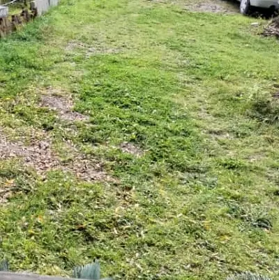 480متر زمین در مرجان سند تک برگ فوری غروشی