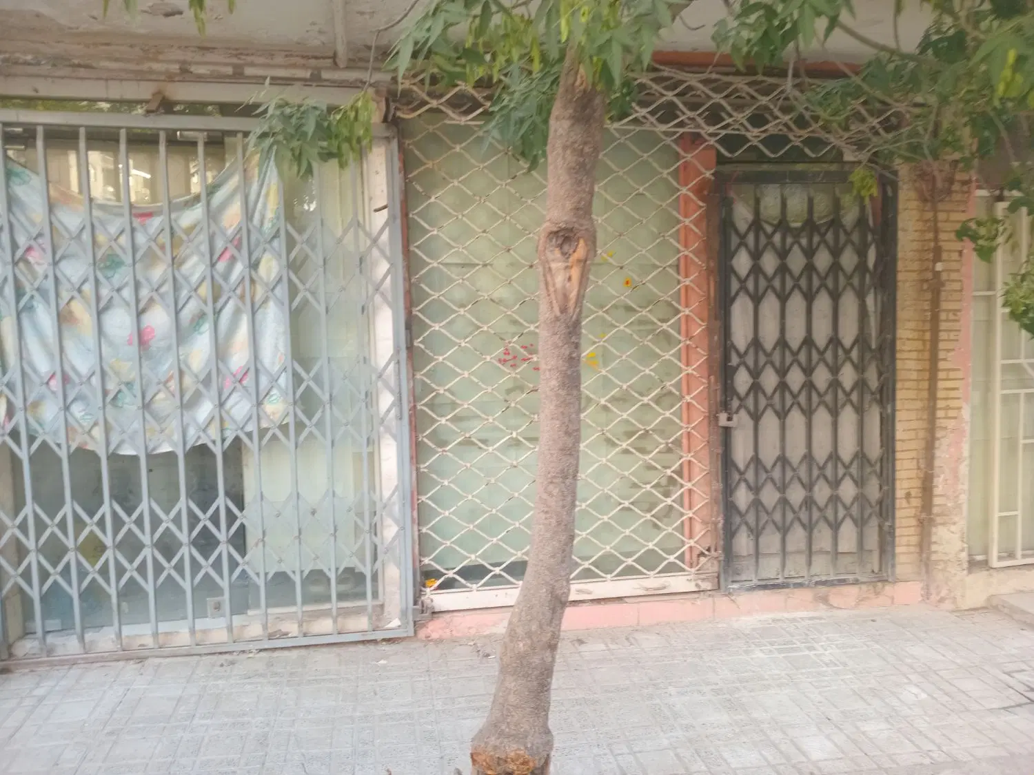 یک باب مغازه پنجاه متری