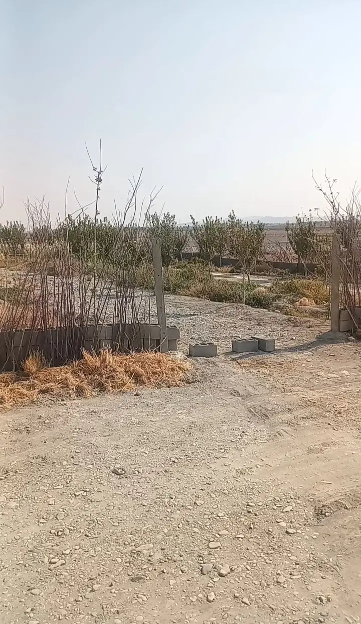 هزار متر باغچه در بکه، ترپاق تپه