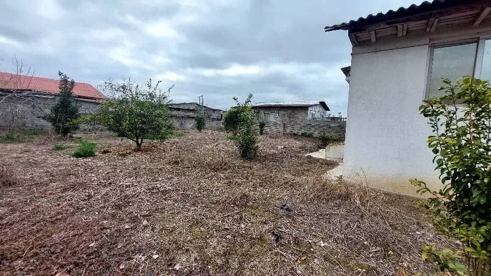 زمین کشاورزی