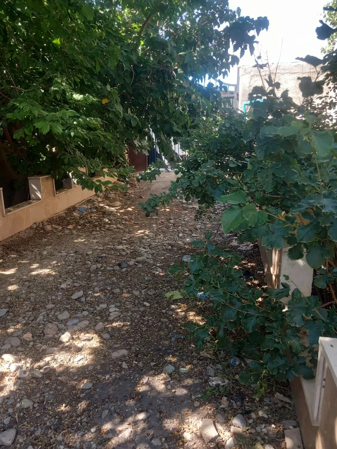 باغچه کبود گنبد
