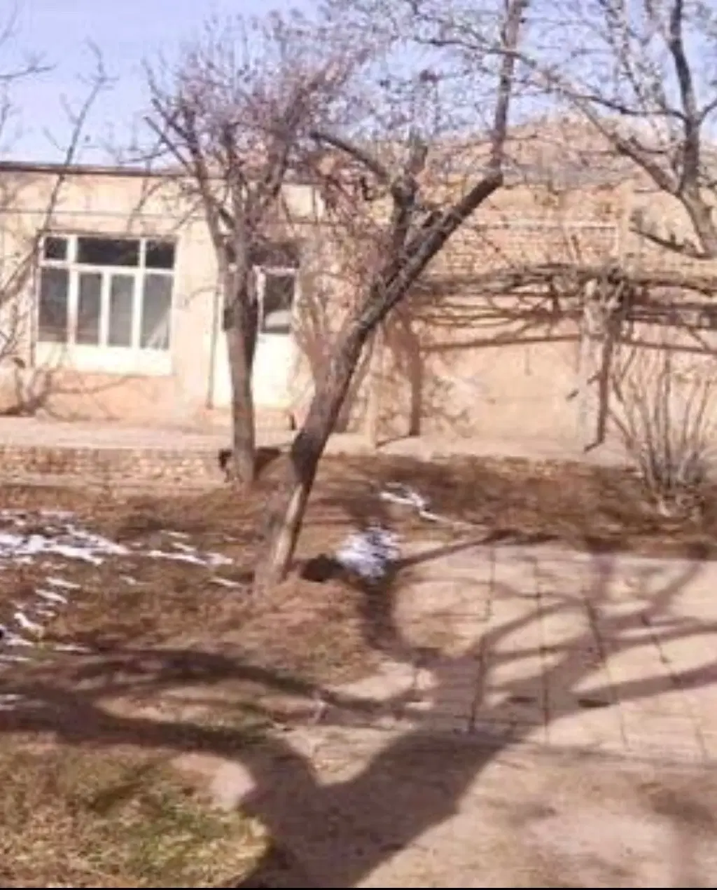 خانه کلنگی