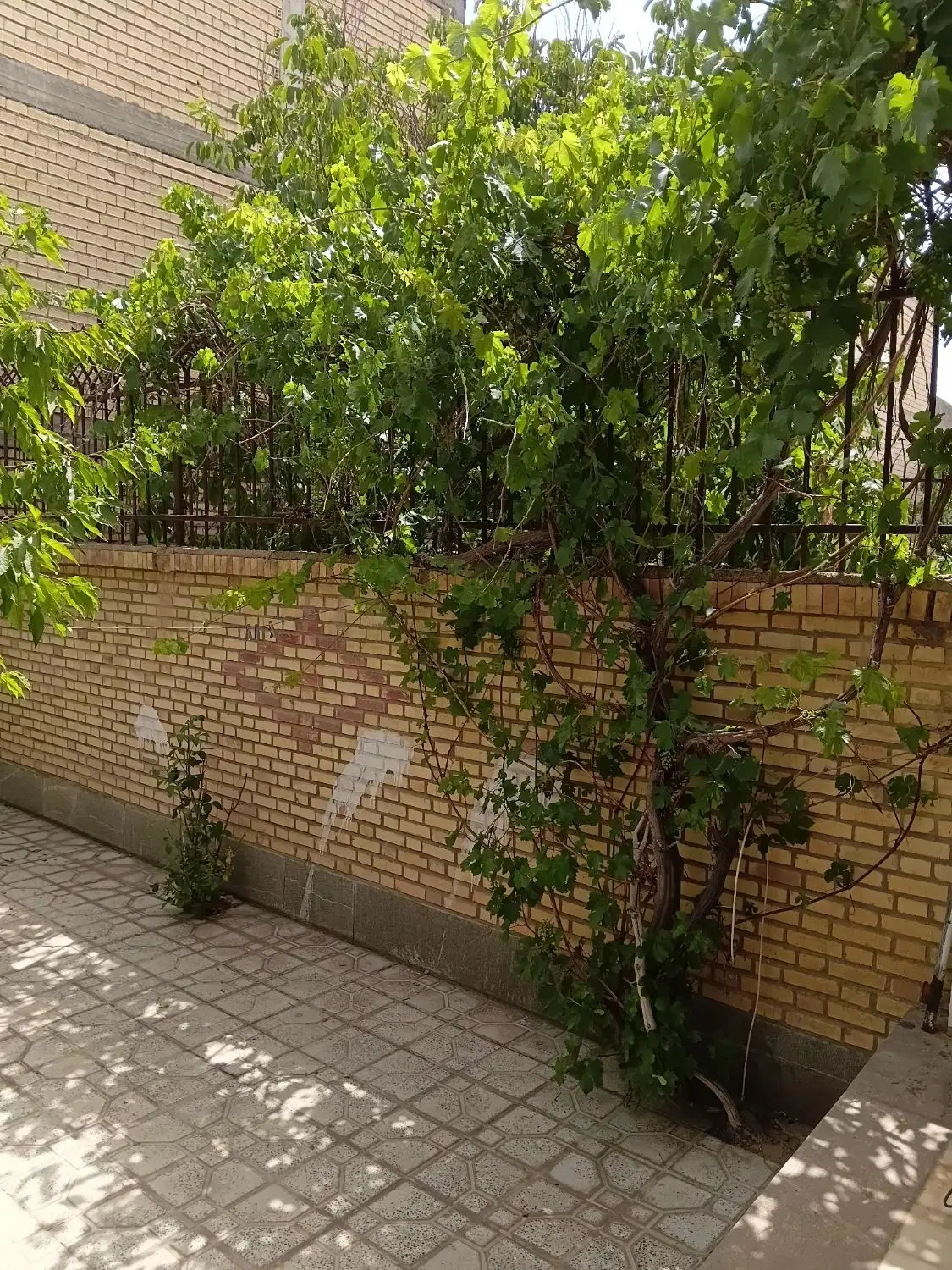 خانه ویلایی ۲۴۰متر