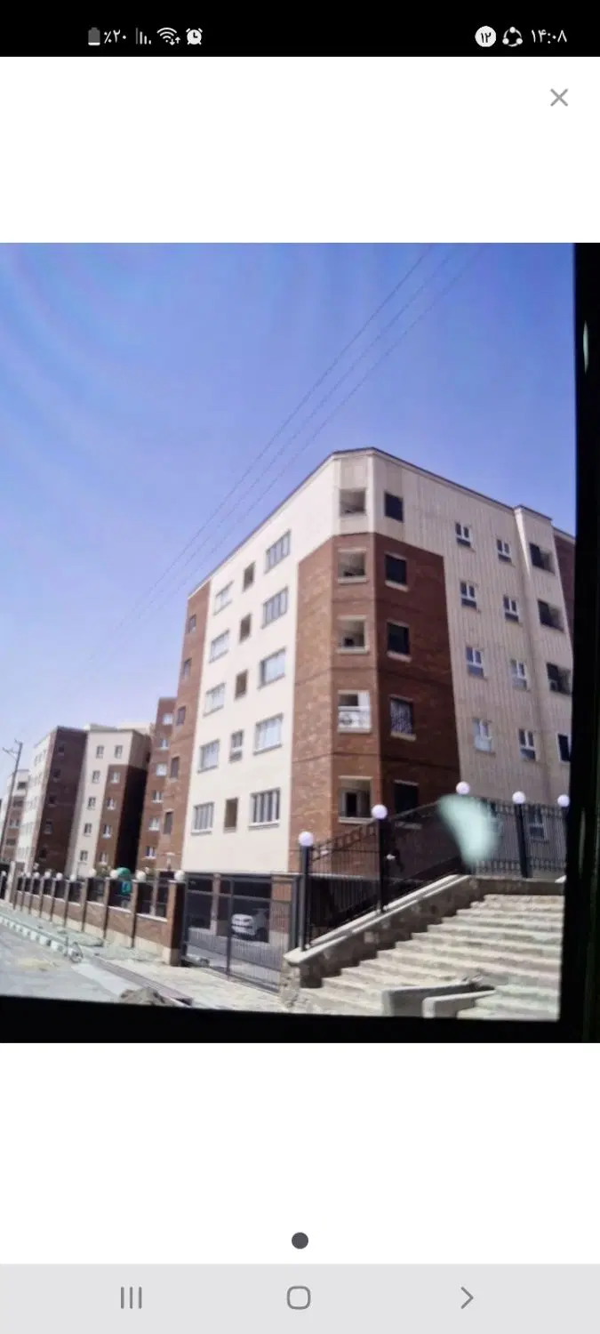زیتون ۱۷ هکتاری