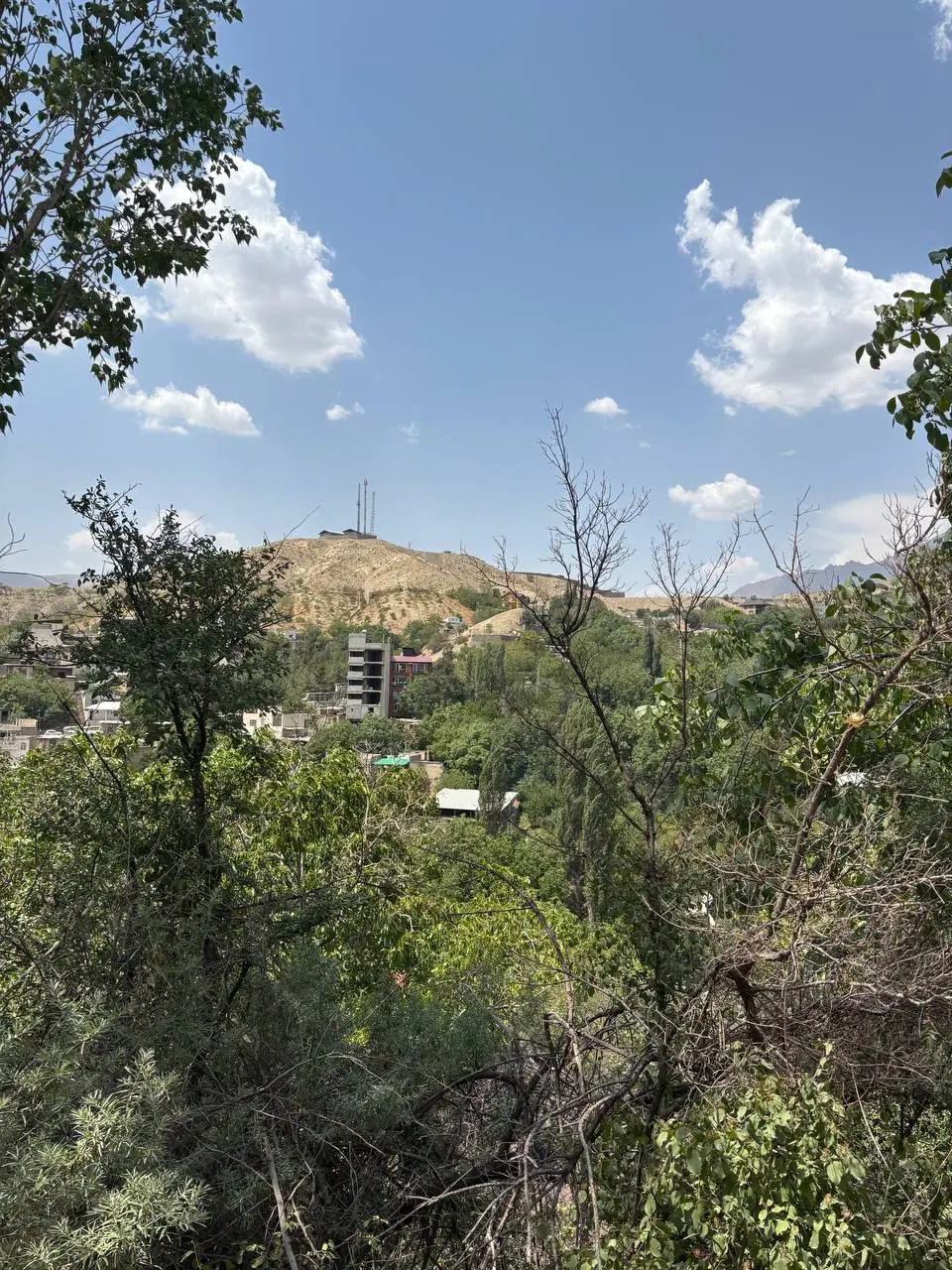 فروش باغ گیلاس در روستای سینک