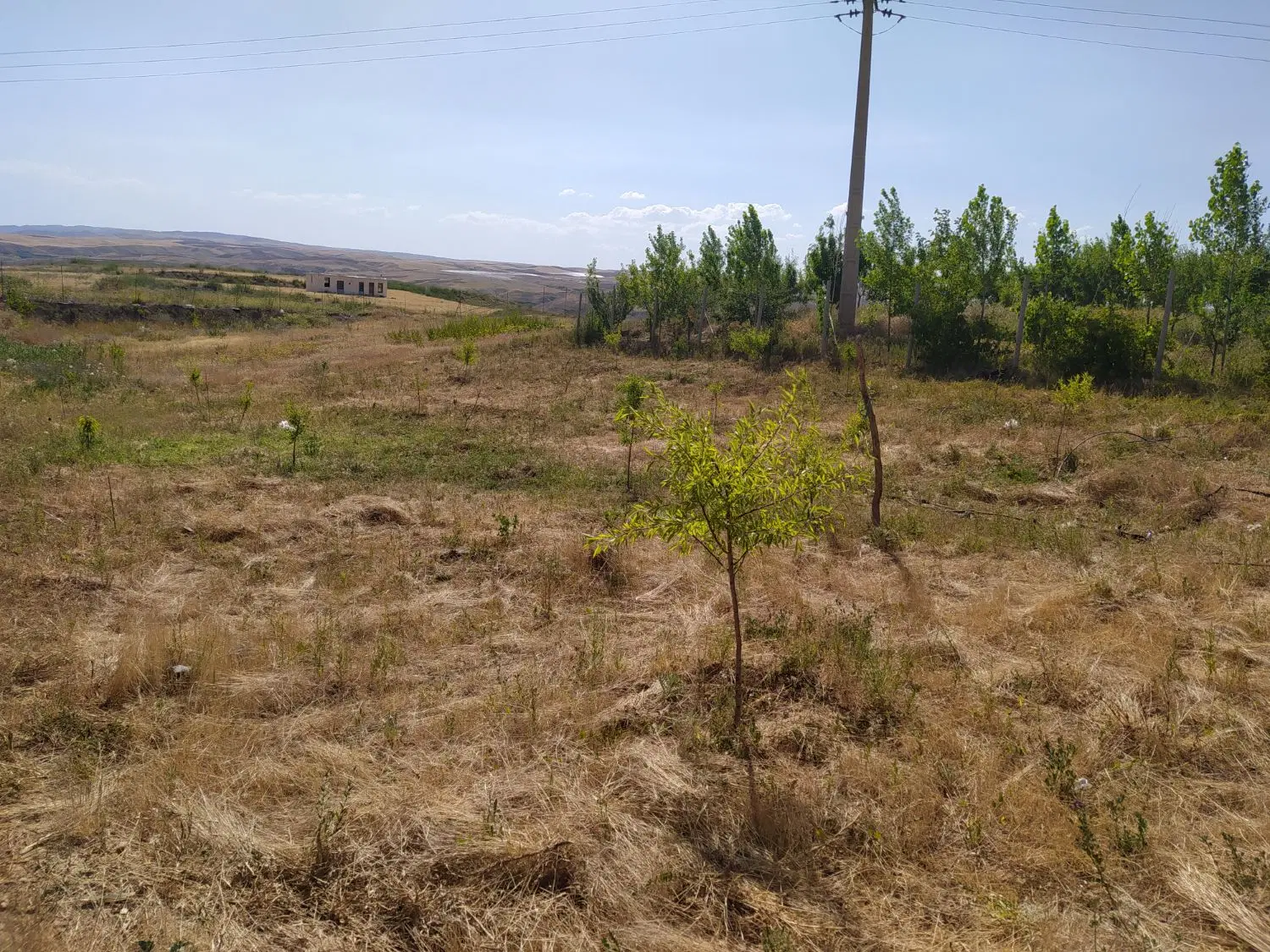 باغچه ای در آیدوغموش