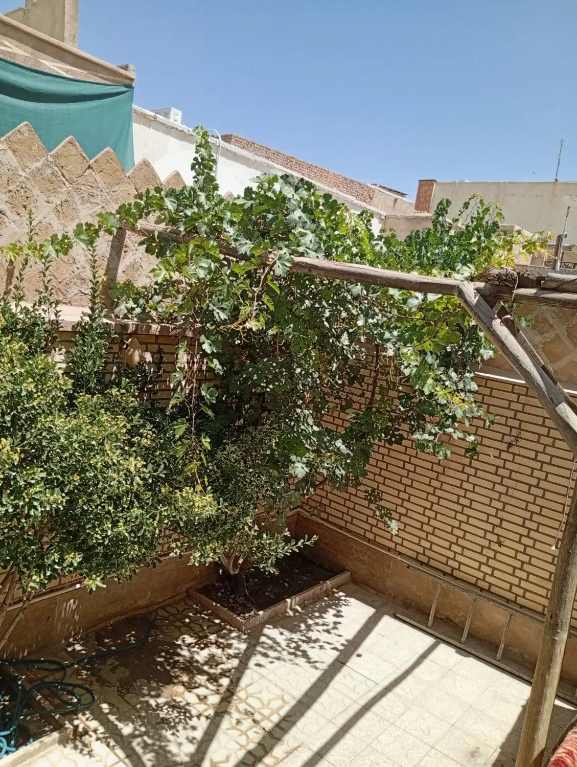 منزل فروشی