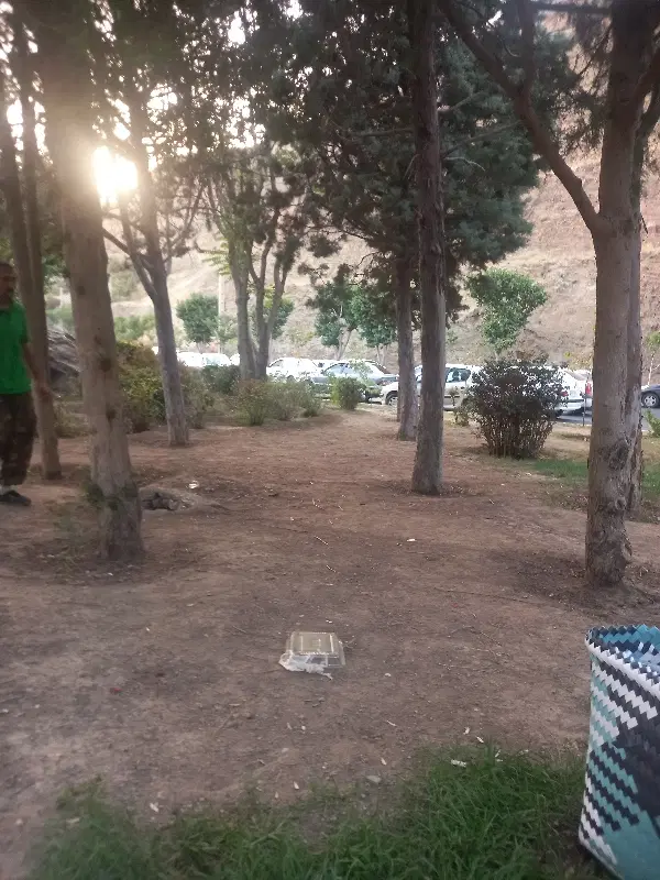 زمین ۶۵متری