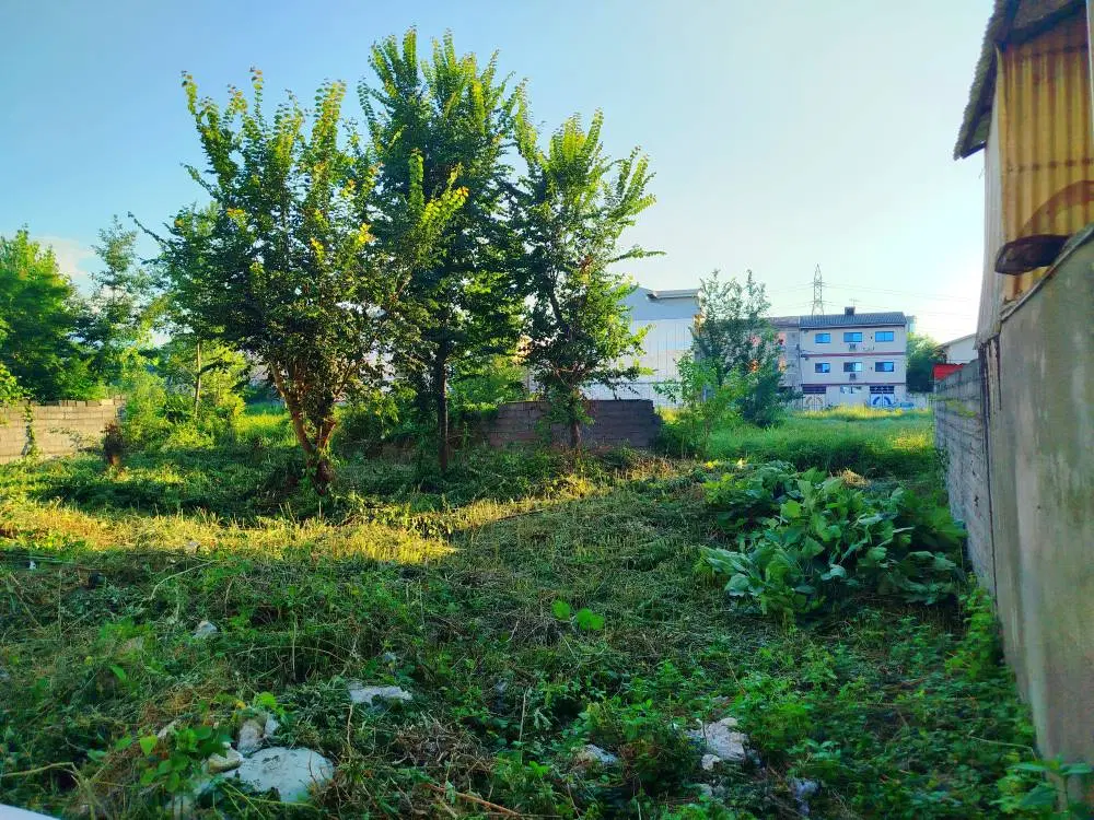 زمین مسکونی