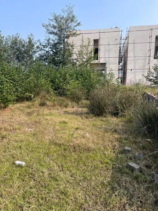 فروش زمین ۴۵۰ متری شهرک کتی