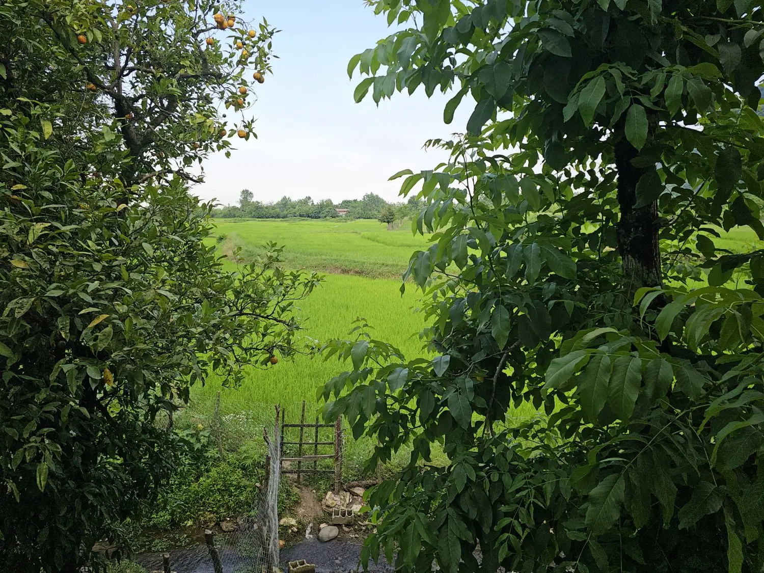 ویلا نیمه کاره