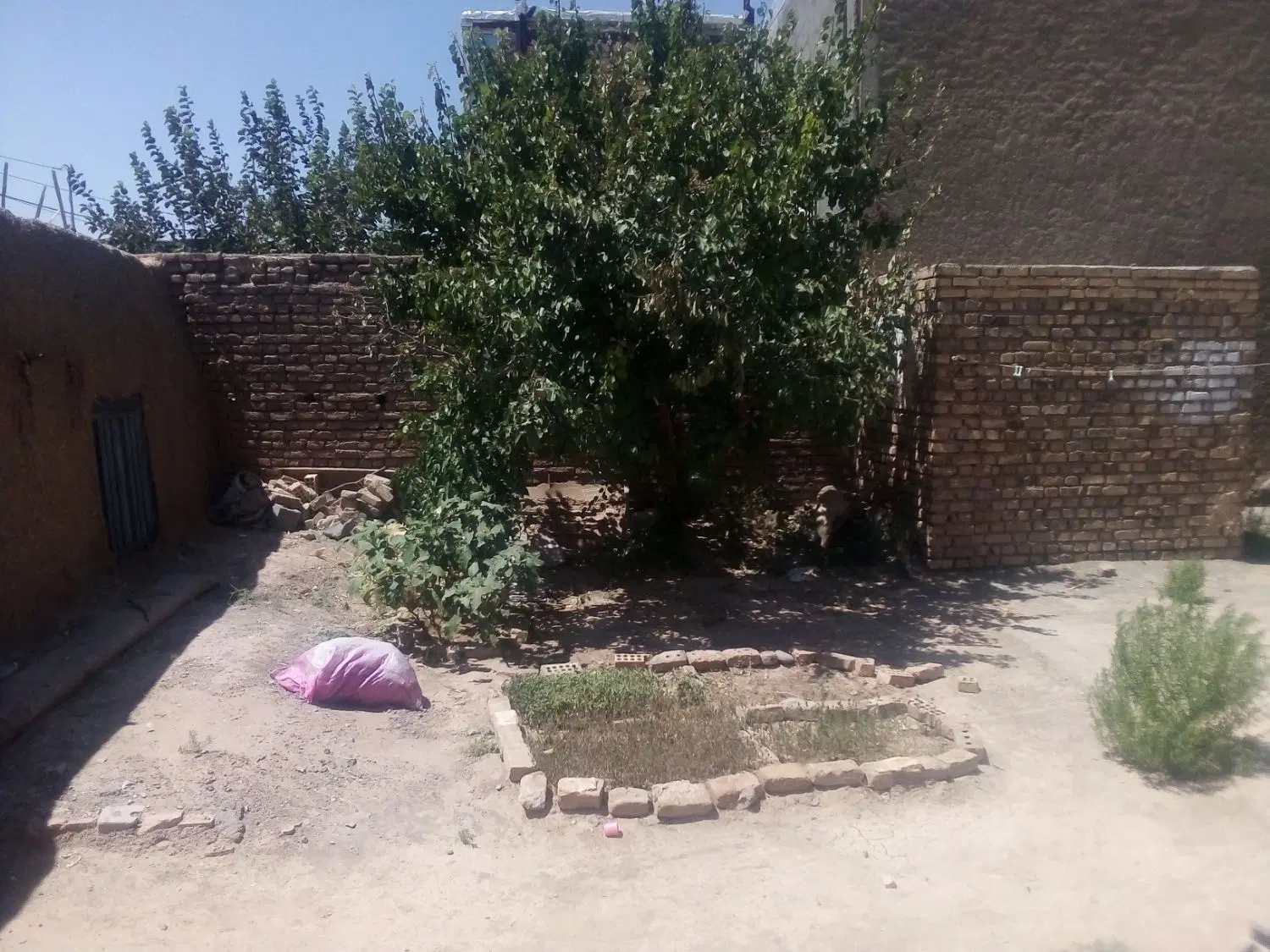 زمین