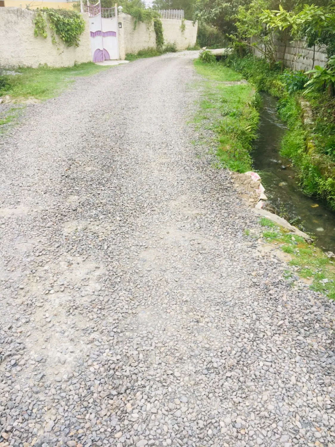 ۷۴۰ متر زمین و ویلا در شمال