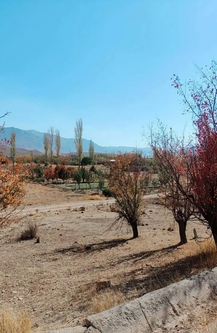 زمین سربیژن