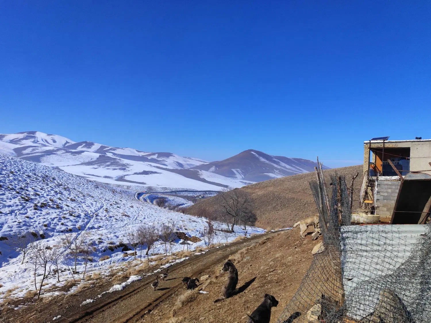 خانه اجاره ای منوچهری