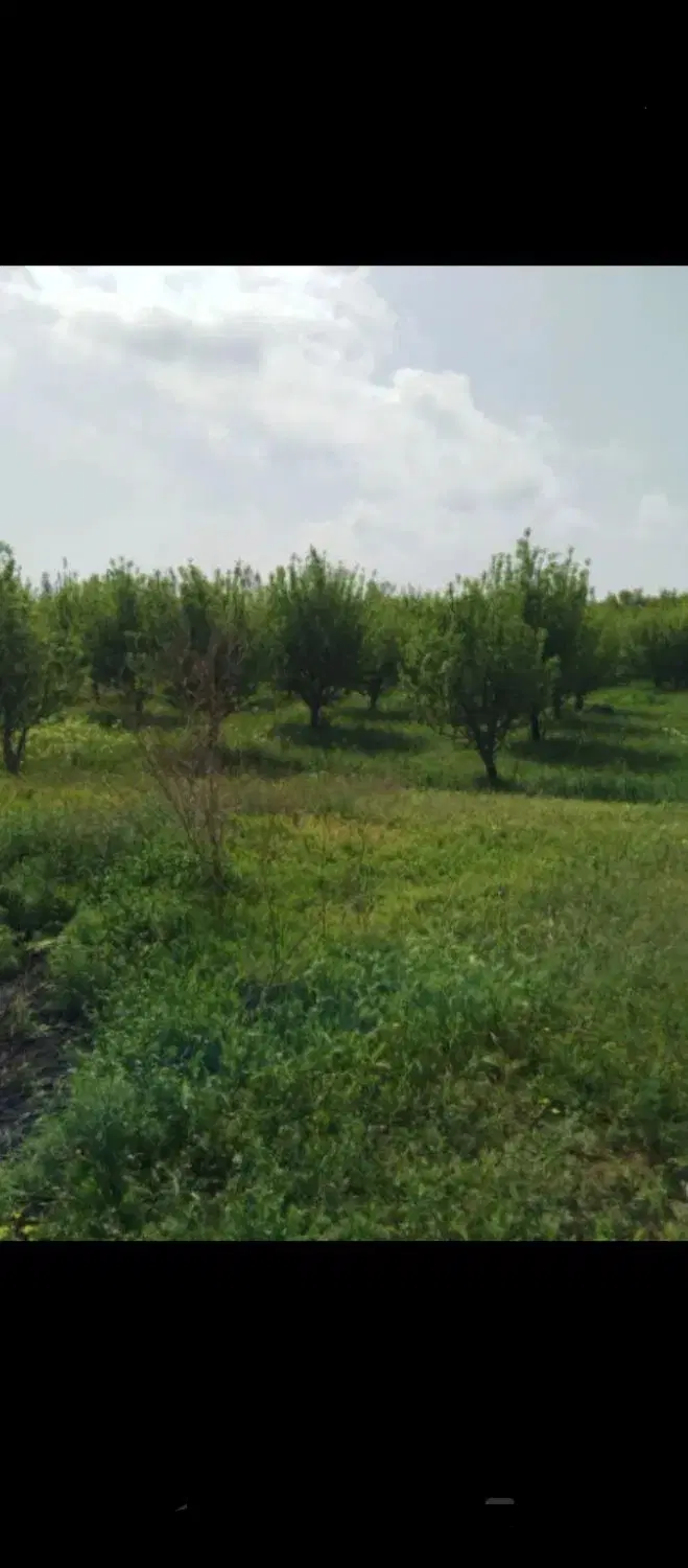 باغچه روستای برگشاد