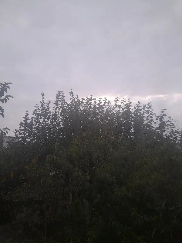 اجاره زمین کشاورزی