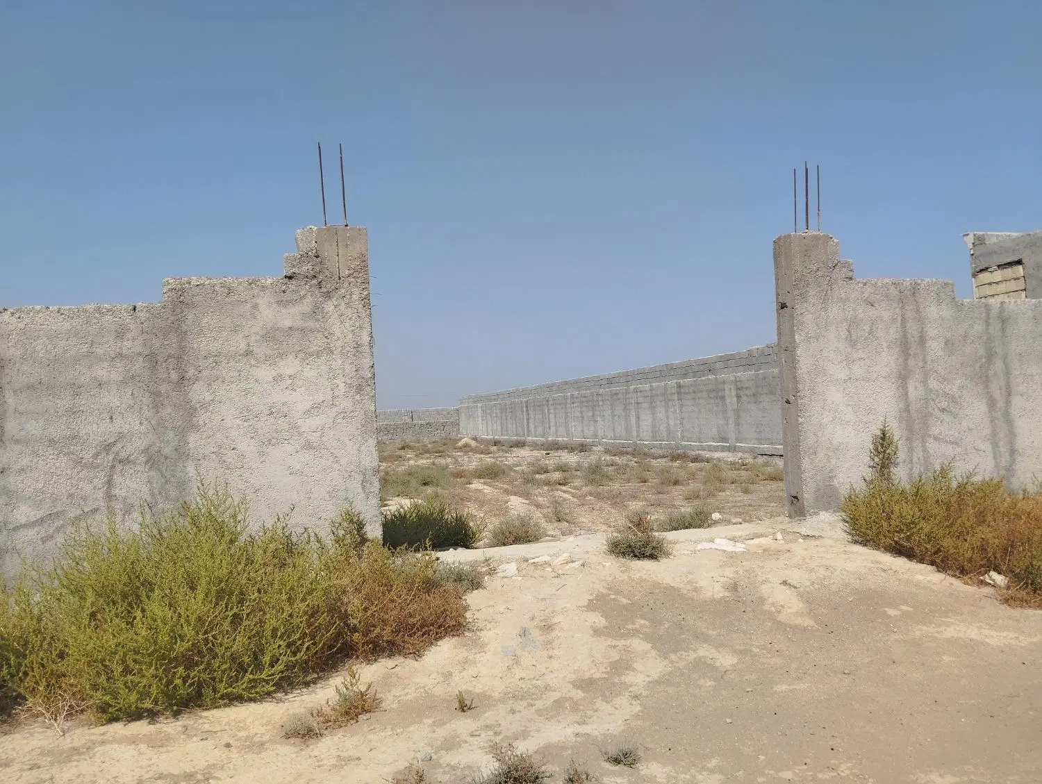 زمین باغی