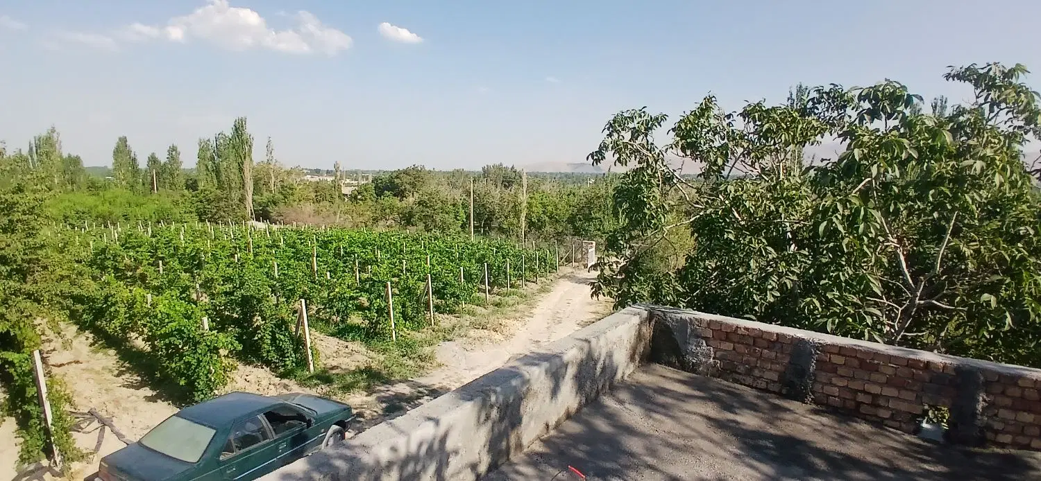 باغ باغچه جاده بالانج روستای قرالر کوه