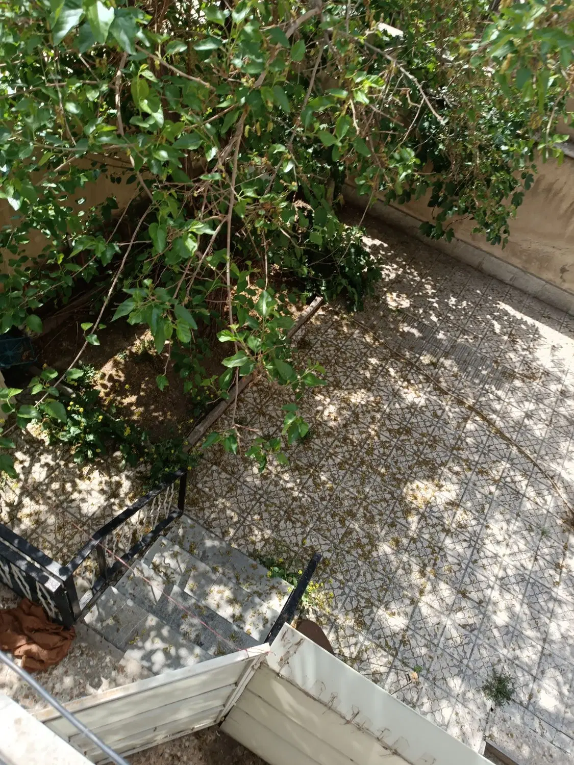 60ویلایی تک خواب