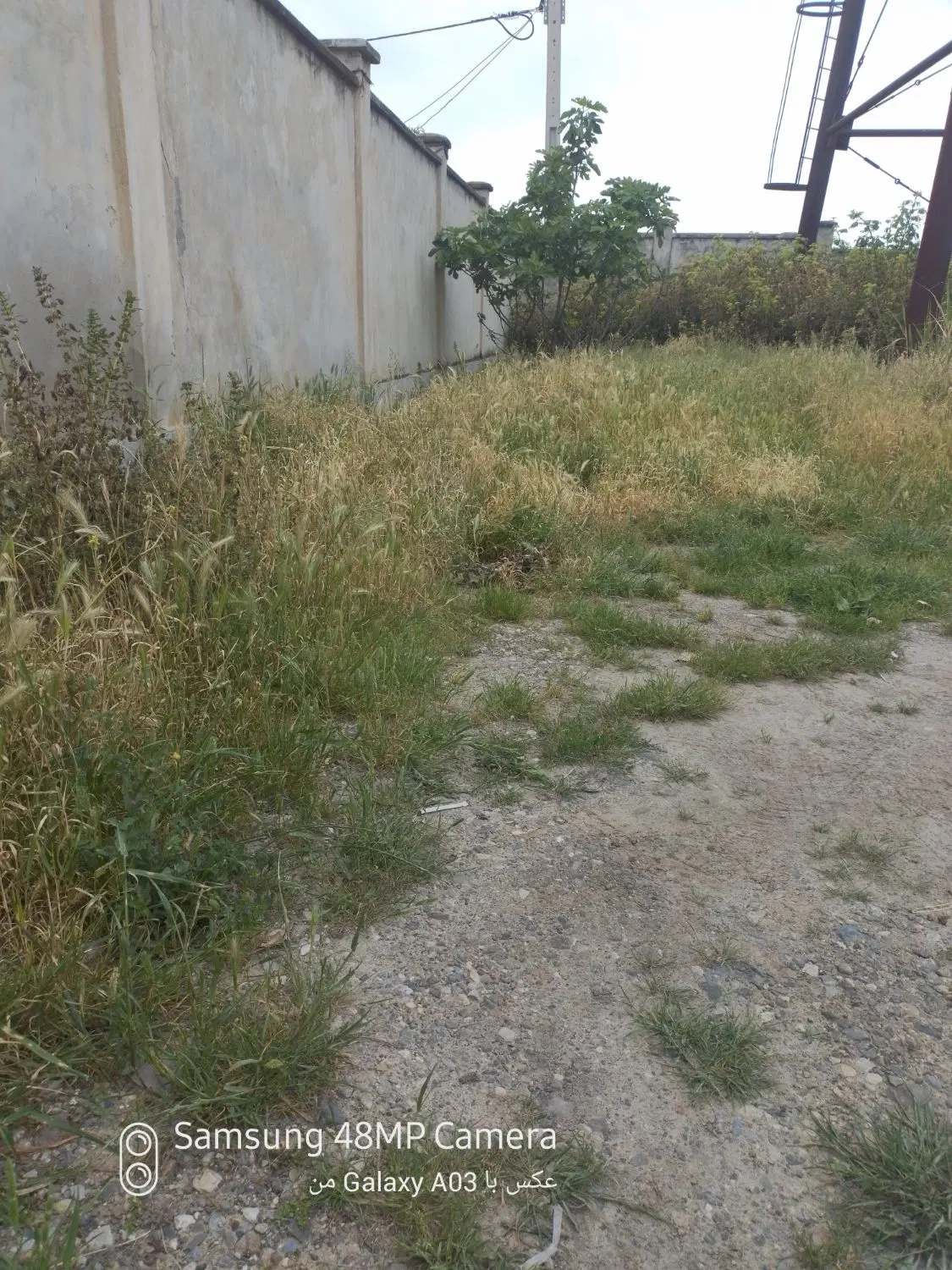 زمین  مسگونی نگین شهر